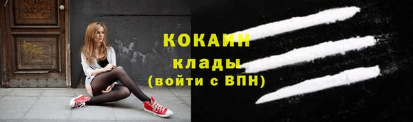 ГАЛЛЮЦИНОГЕННЫЕ ГРИБЫ Осинники