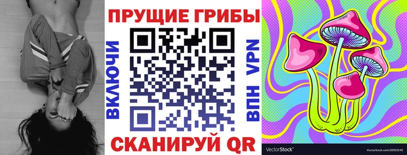 купить  цена  Белгород  Галлюциногенные грибы Magic Shrooms 